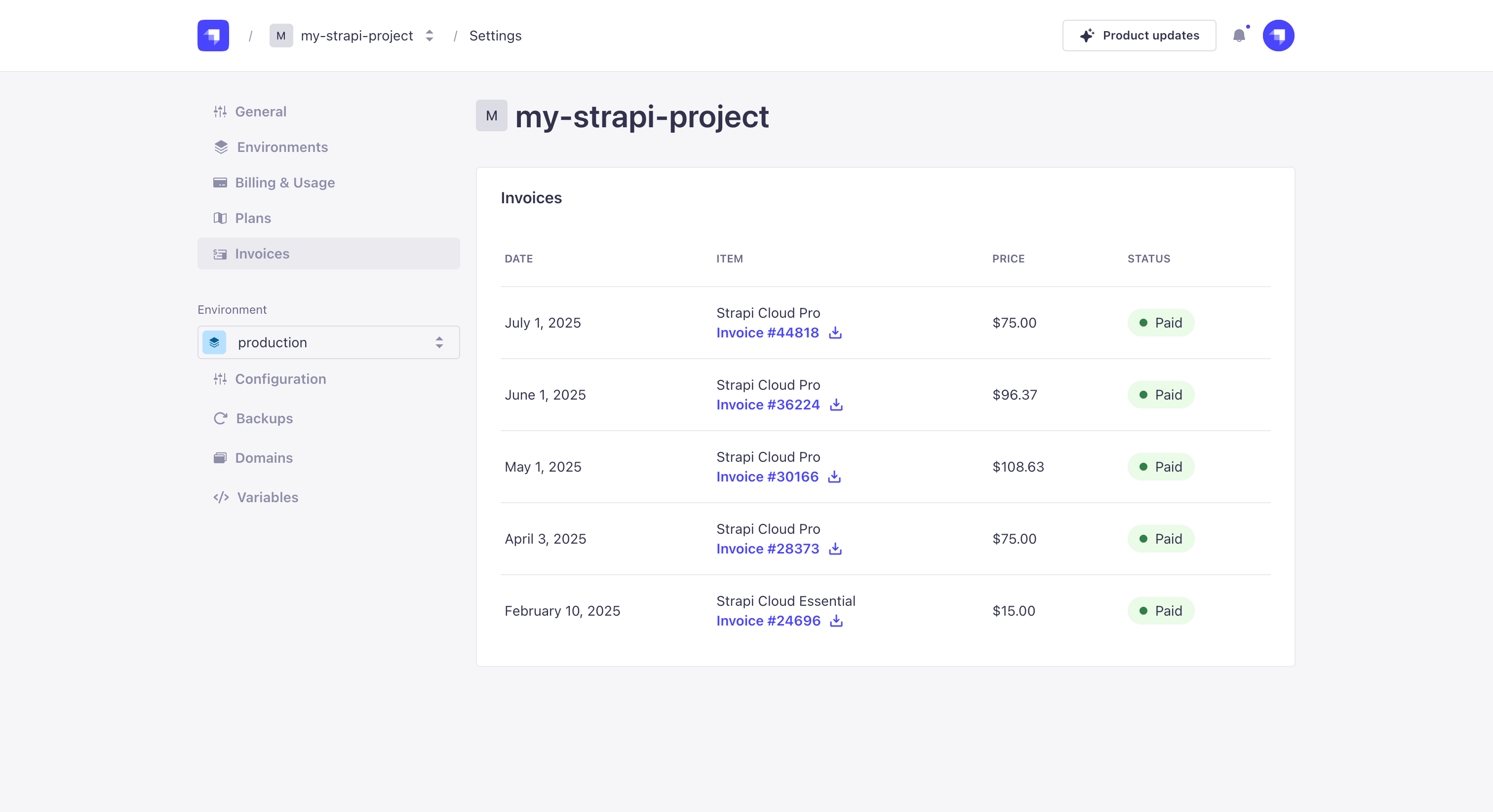Project invoices
